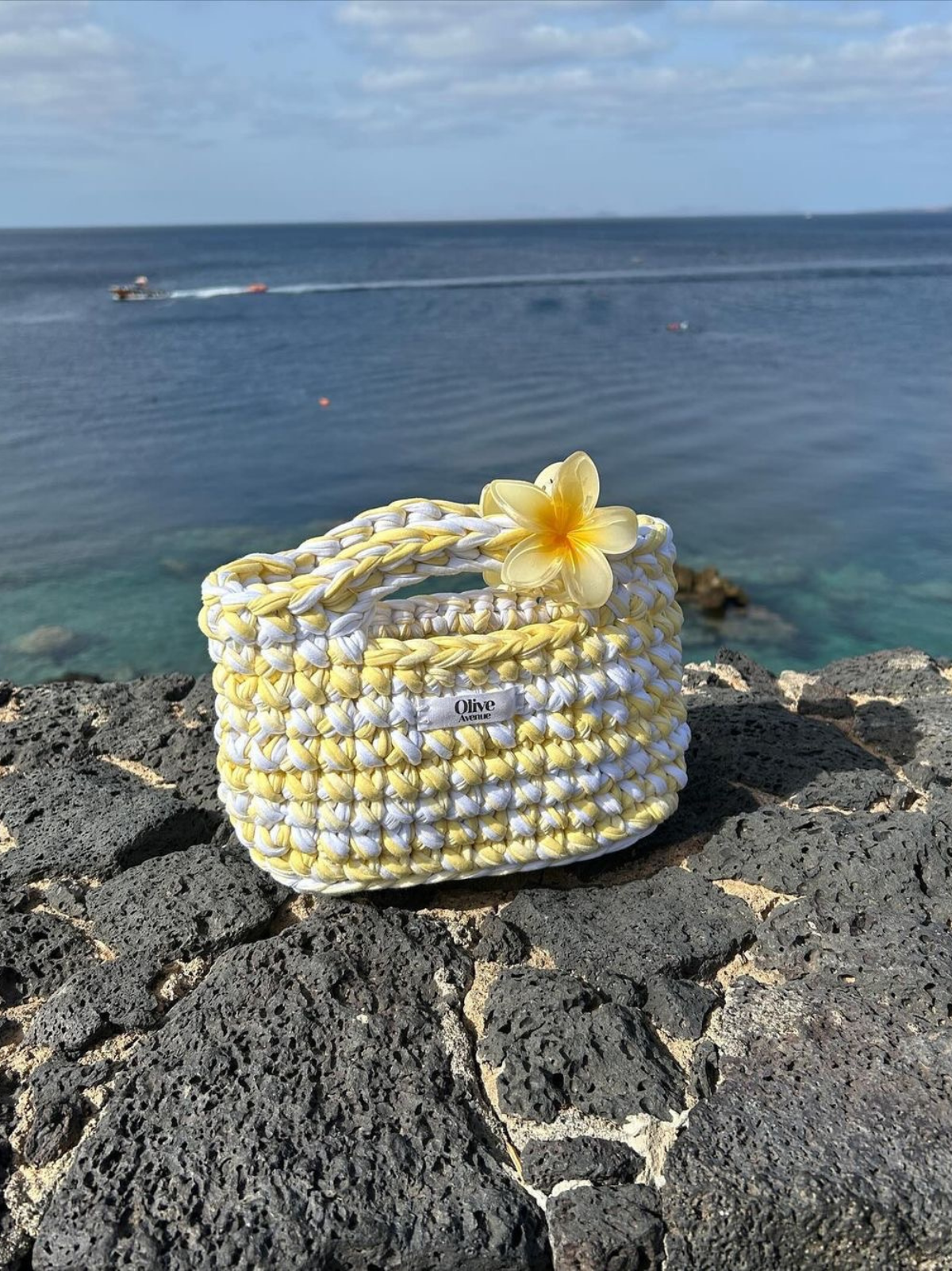 OLIVE ITALIA ®- GIRASOLE